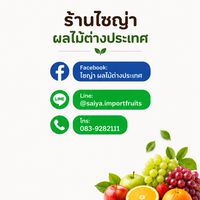 กลุ่มร้านไซญ่าผลไม้