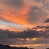 綺麗な写真見せ合お〜