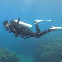 中部水肺潛水放呆
