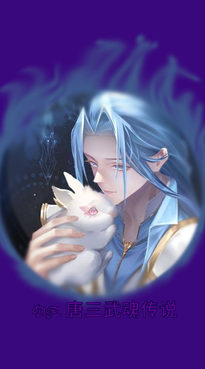 DP.唐三武魂传说
