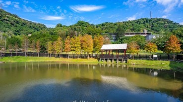 2020台北雲山水【原住民文化主題公園】IG落羽松秘境景點.交通