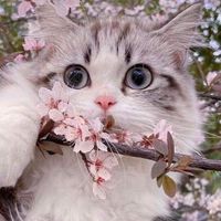 🍬ゆるふわ大人時間🍬Live🎙️&Chat