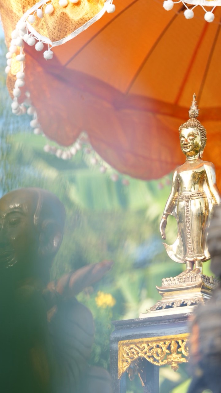 台灣注射集團股份有限公司