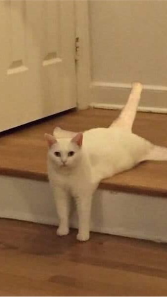 ส่งต่อเสื้อผ้าาา