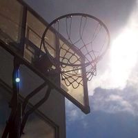 バスケ民相談所