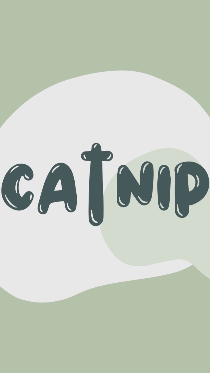 Catnip貓薄荷🐈‍⬛🍃/女團代購群