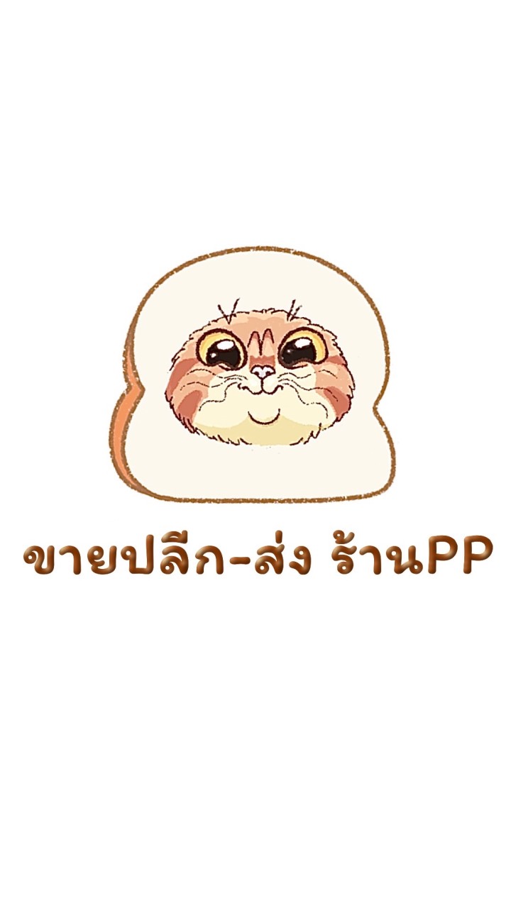 ขายปลีก-ส่ง ร้านPP