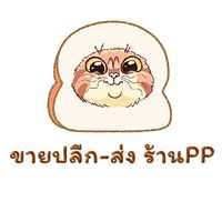 ขายปลีก-ส่ง ร้านPP