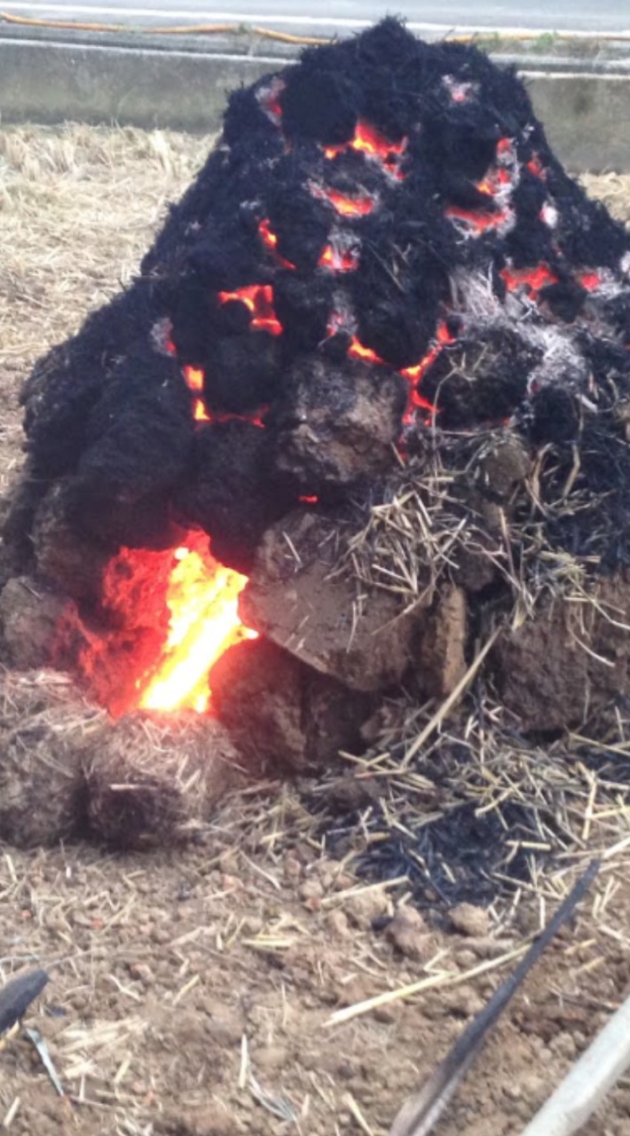 8/24金山控窯地瓜-回憶兒時記趣