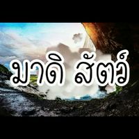 มาดิ สัตว์