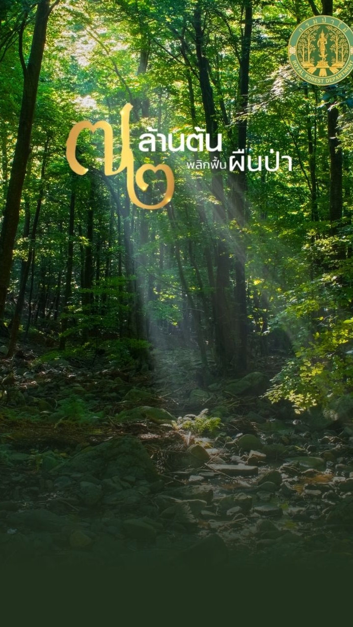 world of tree