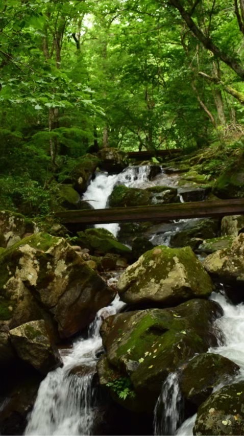 【岐阜】関市と山県市を語ろう