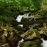 【岐阜】関市と山県市を語ろう