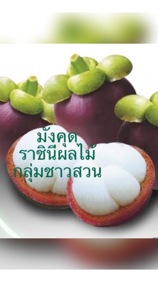 กลุ่มชาวสวนมังคุดนครศรี สิชล ท่าศาลา  ลานสกา พรมคีรี อ.อื่นๆ