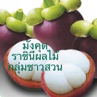 กลุ่มชาวสวนมังคุดนครศรี สิชล ท่าศาลา  ลานสกา พรมคีรี อ.อื่นๆ