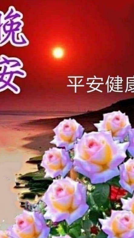 9點檔