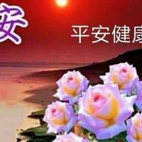 9點檔