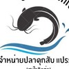 IDRIS ปลาดุกสับแปรรูป🐬