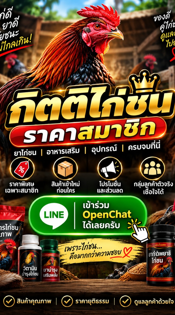 🐓 กิตติไก่ชน | ราคาส่งสมาชิก