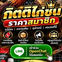 🐓 กิตติไก่ชน | ราคาส่งสมาชิก