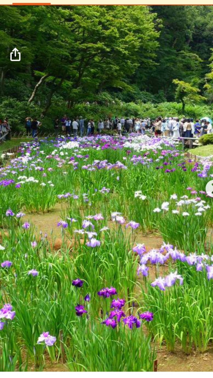 しぶや区民の声を聞く会オプチャ