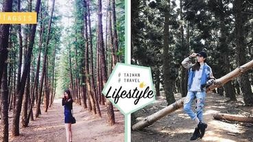 不能吃的黑森林~這個是人仙境一般的秘境，讓你置身於童話故事般的美景~