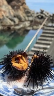 北三陸久慈市ふるさと大使