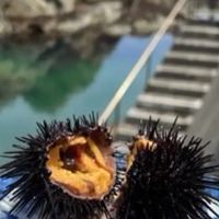 北三陸久慈市ふるさと大使
