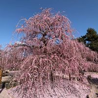 ▫️緋常愛飛 ▫️ 最新團體旅遊、限時優惠