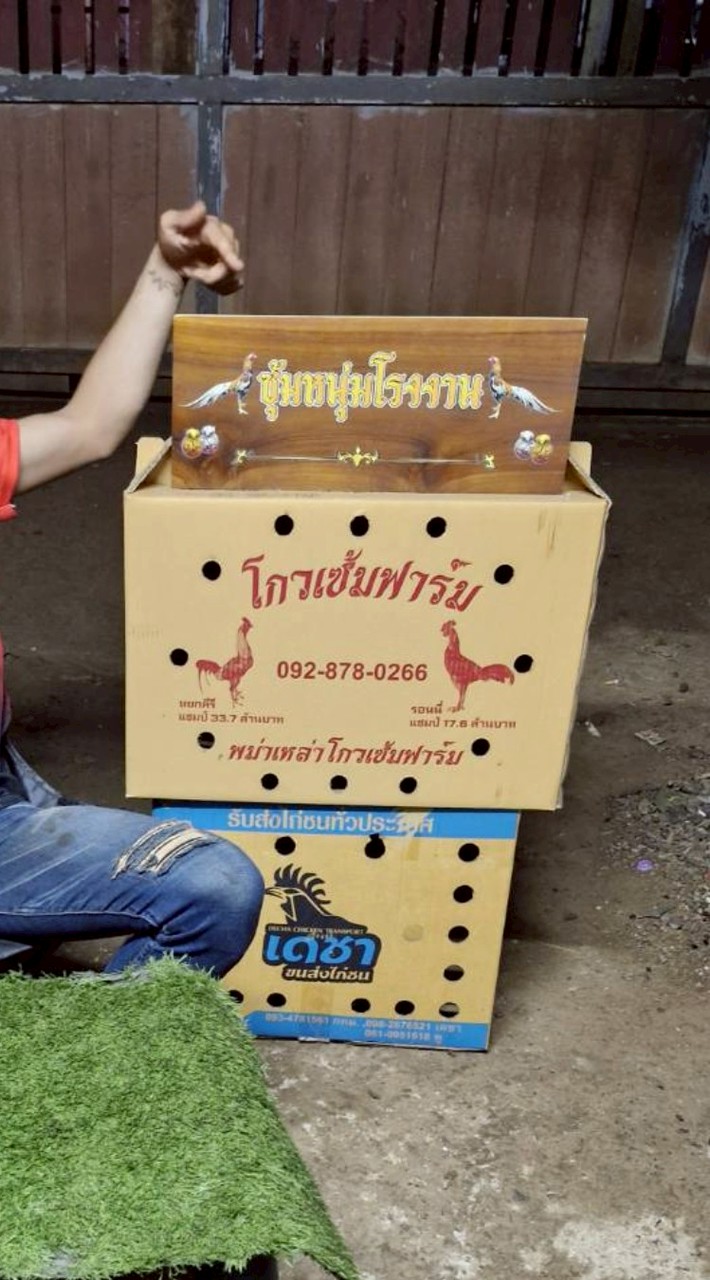 ซุ้ม หนุ่มโรงงาน🙏🐉