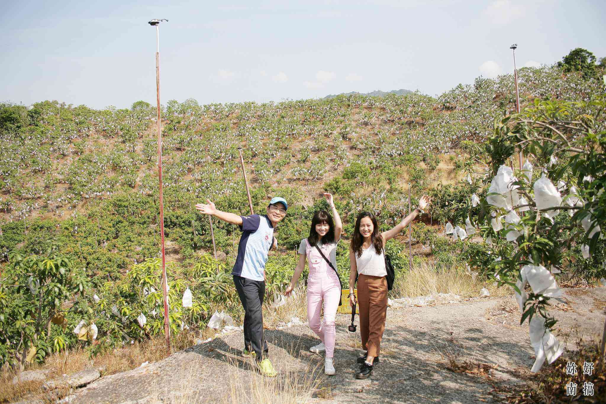 蜜旺果鋪 -01 - 妳好南搞