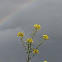 有意無意聊兩句，來。