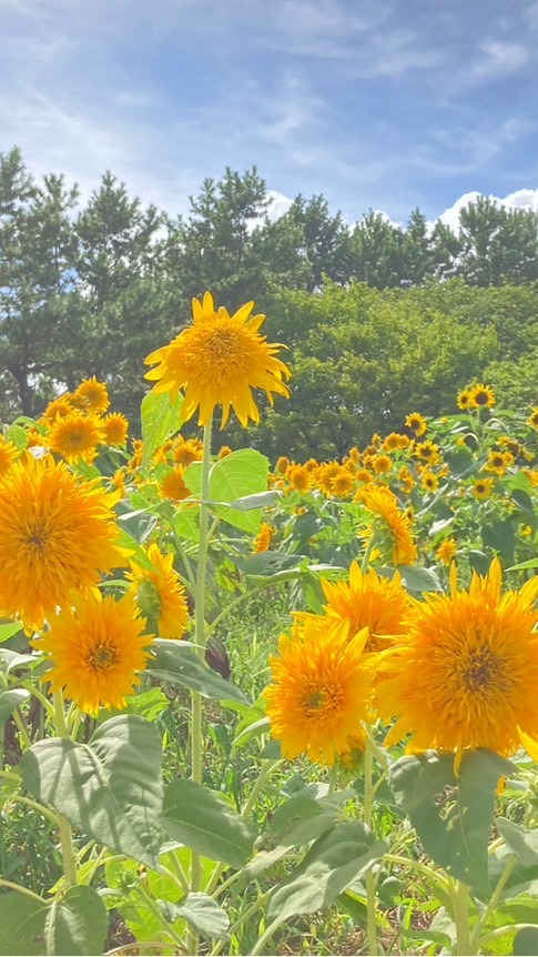 to bloom 花育教室(世田谷)