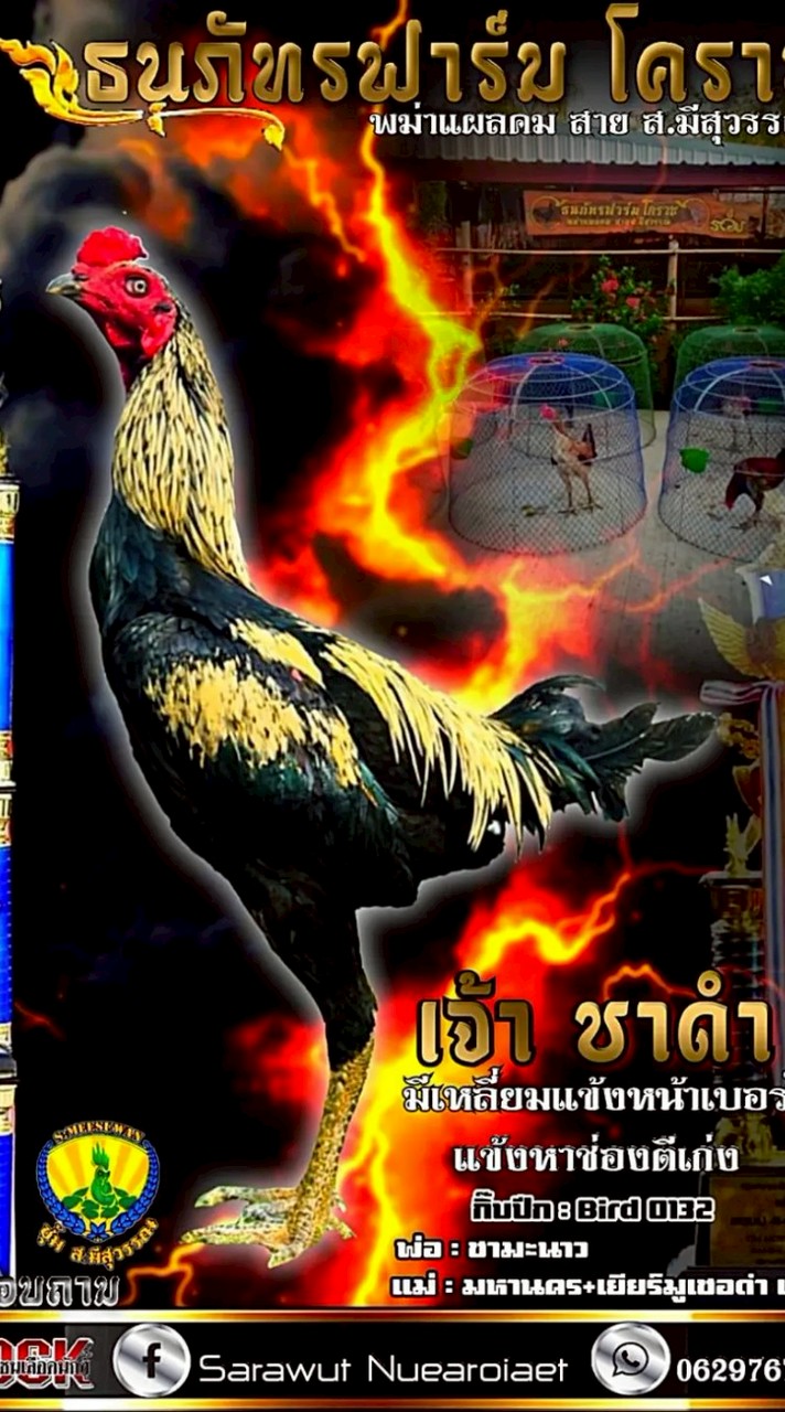 ธนภัทรฟาร์ม โคราช