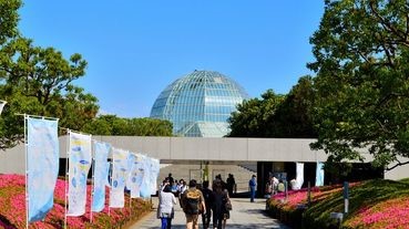 入場費便宜的「葛西臨海水族園」