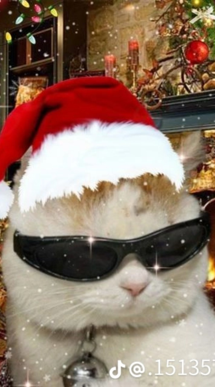 ดีคร้าบบ🌲🌟