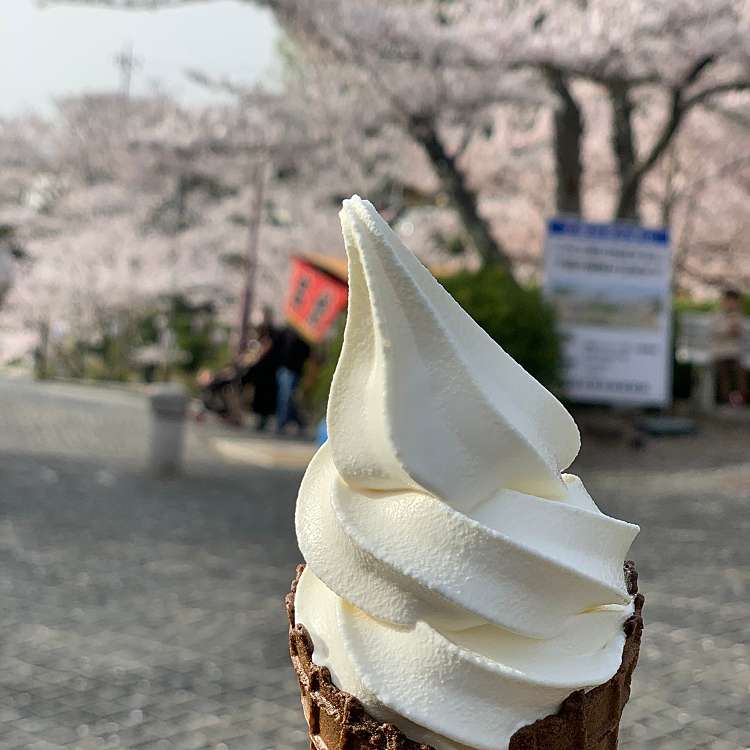 口コミの詳細 尾道 大宝山 千光寺 東土堂町 尾道駅 寺 By Line Place