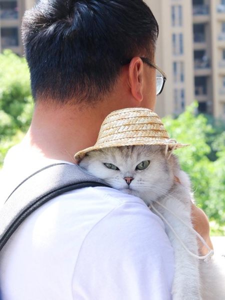寵物頭飾貓咪帽子小草帽萌萌可愛貓咪頭飾狗狗頭飾寵物搞怪帽子夏天防曬 宜室家居