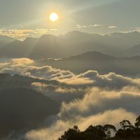 115-05-31武界雲海民宿