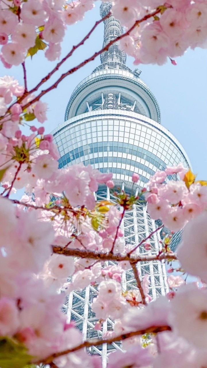 ㄧ同趣郊遊🍀🍁🌸