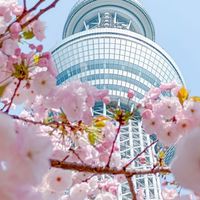 ㄧ同趣郊遊🍀🍁🌸