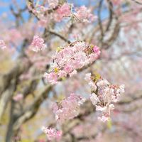 保育士〜HSPな保育士さんのひとりごと