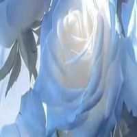 40+50+60+心花開