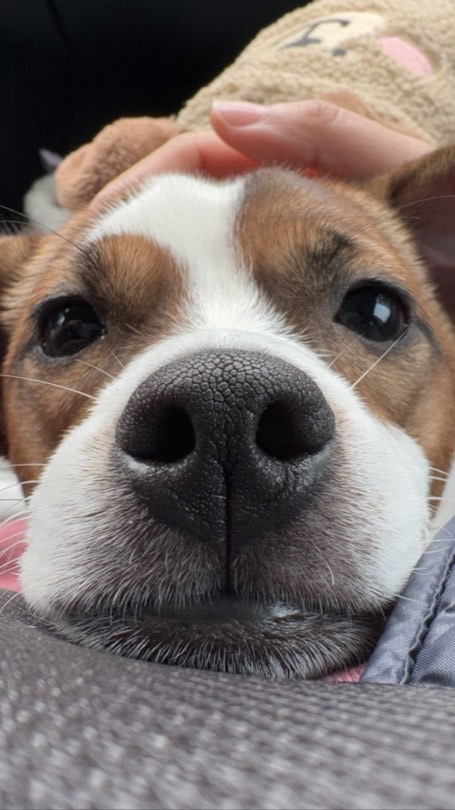 小拿鐵寶寶專區