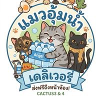แมวอุ้มน้ำ Cactus 3-4 ส่งถึงหน้าห้อง