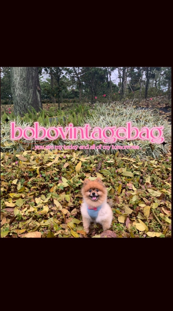 bobovintage中古精品連線優惠群