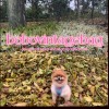 bobovintagebag優惠精品代購