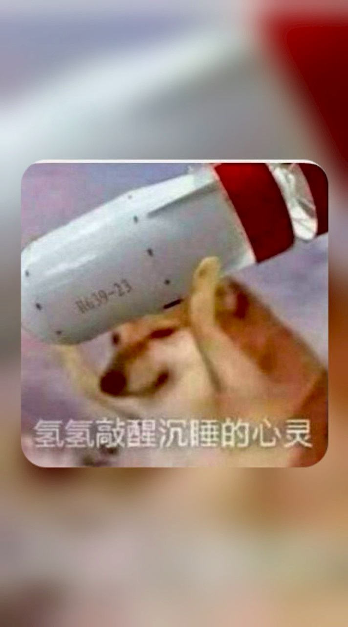 競爭者聊天群