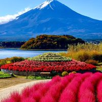JAPAN Oct 25-29