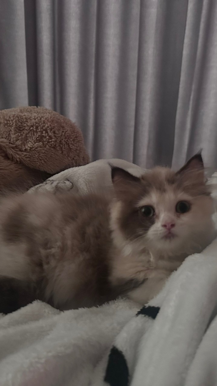 樂得寵物生活館🐈🐶